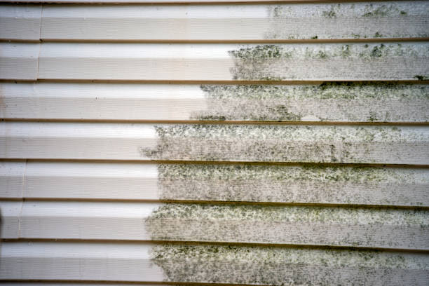Best Property Management Cleanouts  in Spring Valley, CA