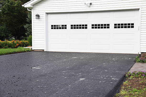 Best Shed Removal  in Spring Valley, CA